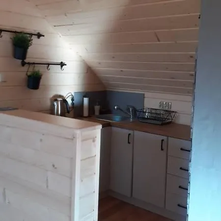 Apartment Apartament Na Poddaszu 3 Osobowy K/ Zakopanego